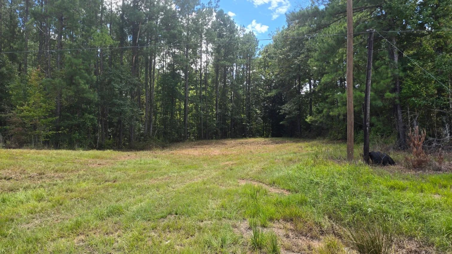 1+/- Acre Near the Homochitto National Forest in Franklin County, MS - Roxie, Mississippi, 39661