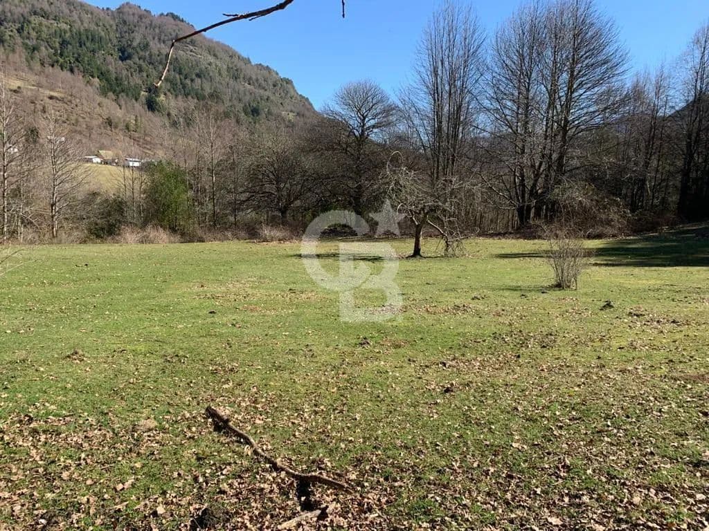 Vacant Land in Curarrehue - Chile
