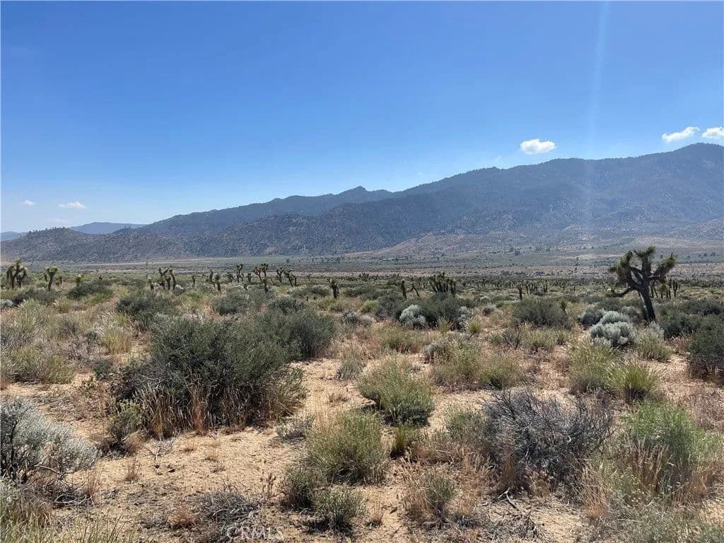 Vacant Land in Weldon - Weldon, California, 93283