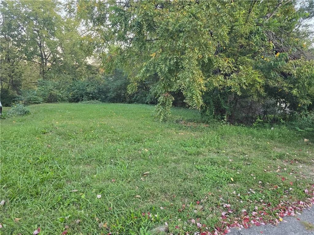 Vacant Land in Kansas City - Kansas City, Missouri, 64128
