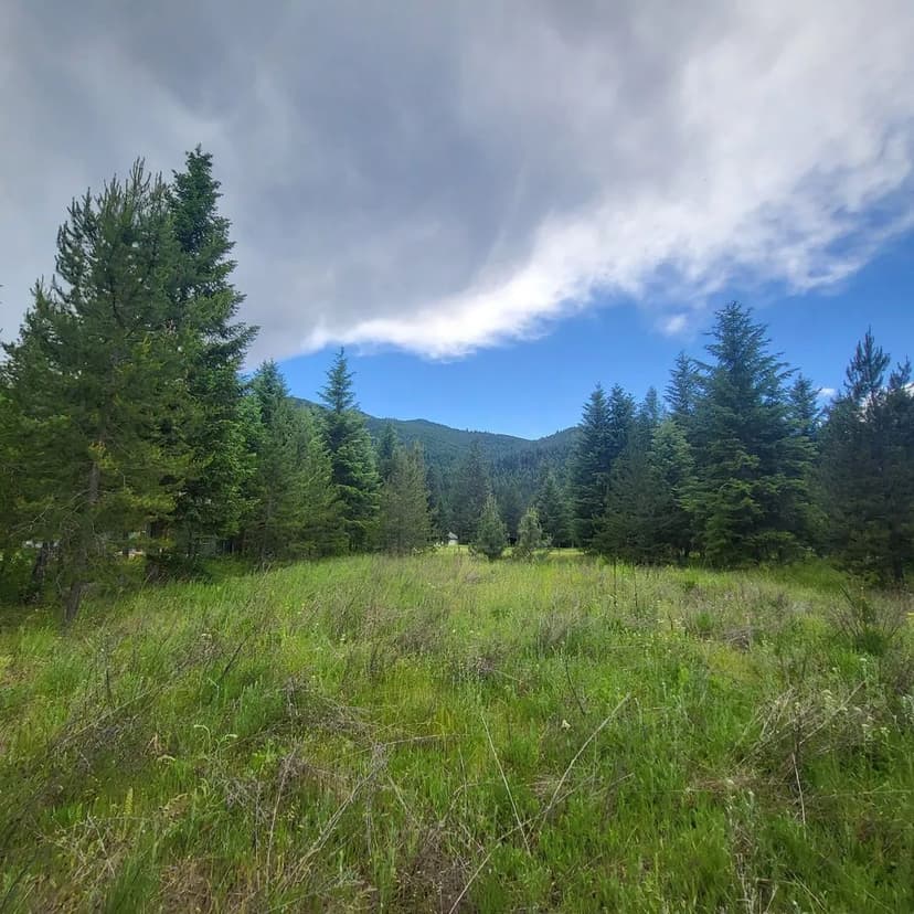 Lots & Land-Other in St Regis