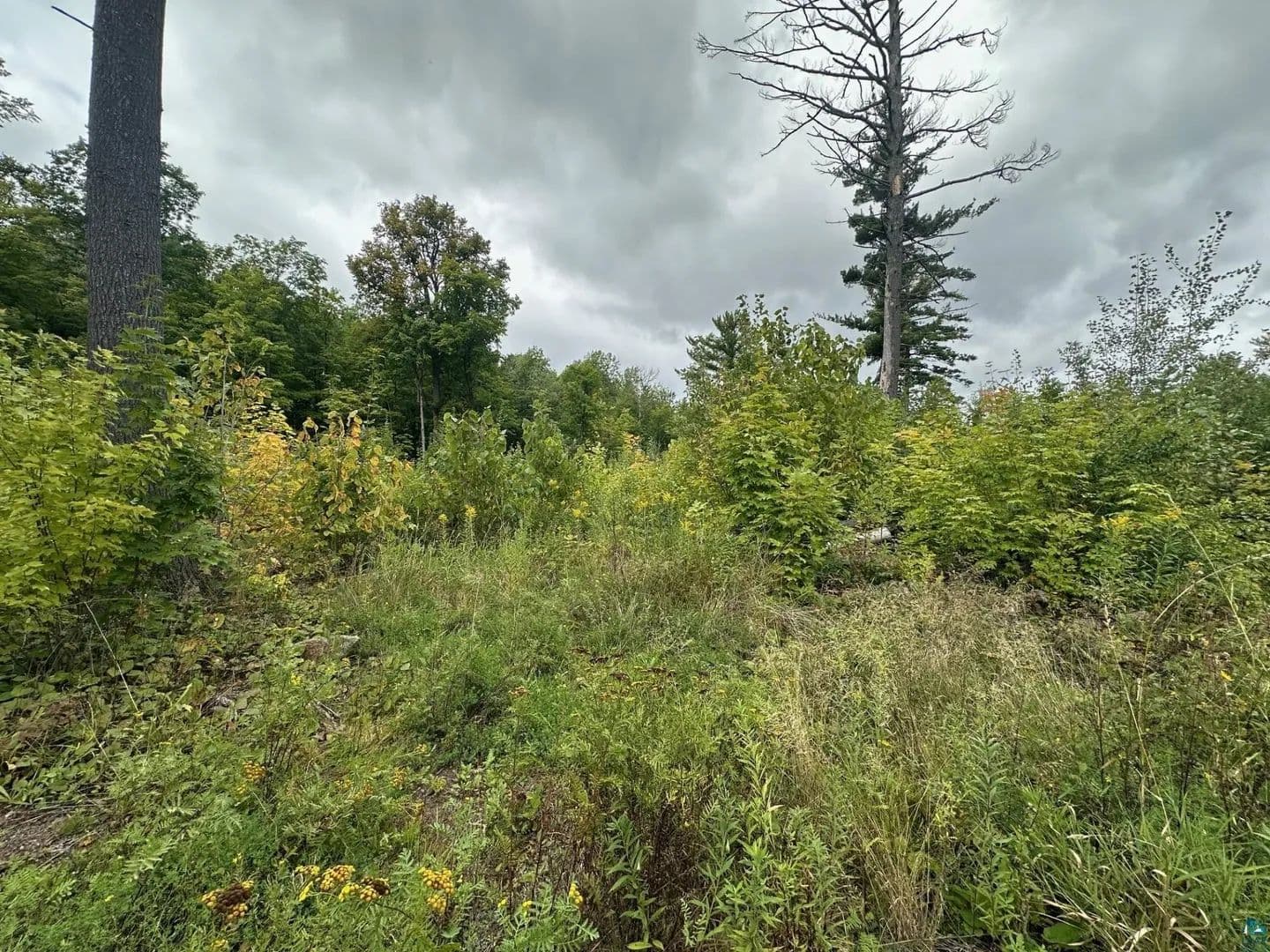 Vacant Land in Cloquet - Cloquet, Minnesota, 55720