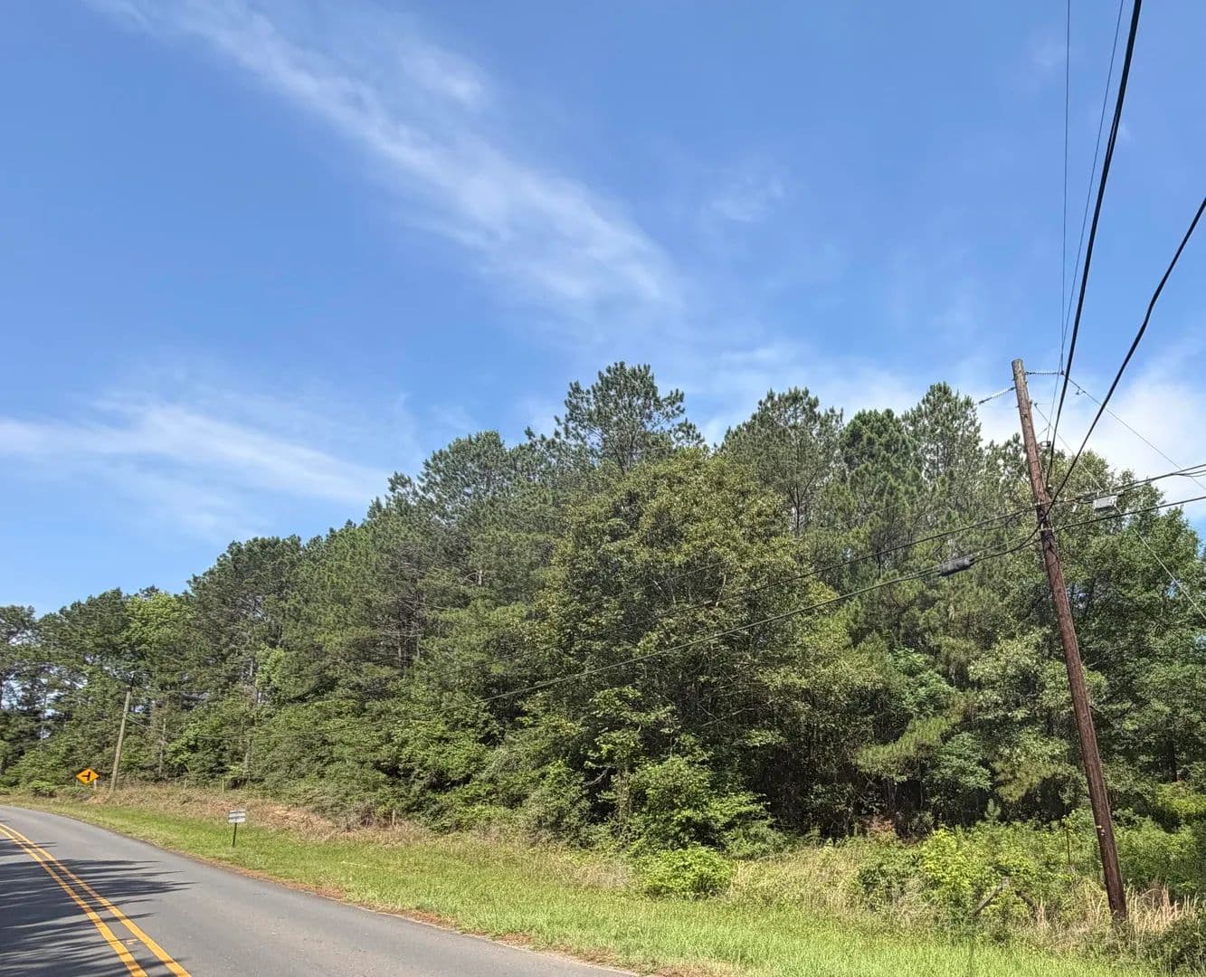 3 Acres of Land for Sale in Leesville, Louisiana - Leesville, Louisiana, 71446