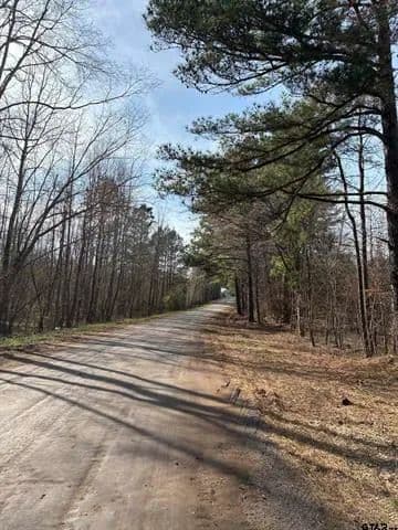 Land -Agricultural (Not Zoned) in Overton - Overton, Texas, 75684