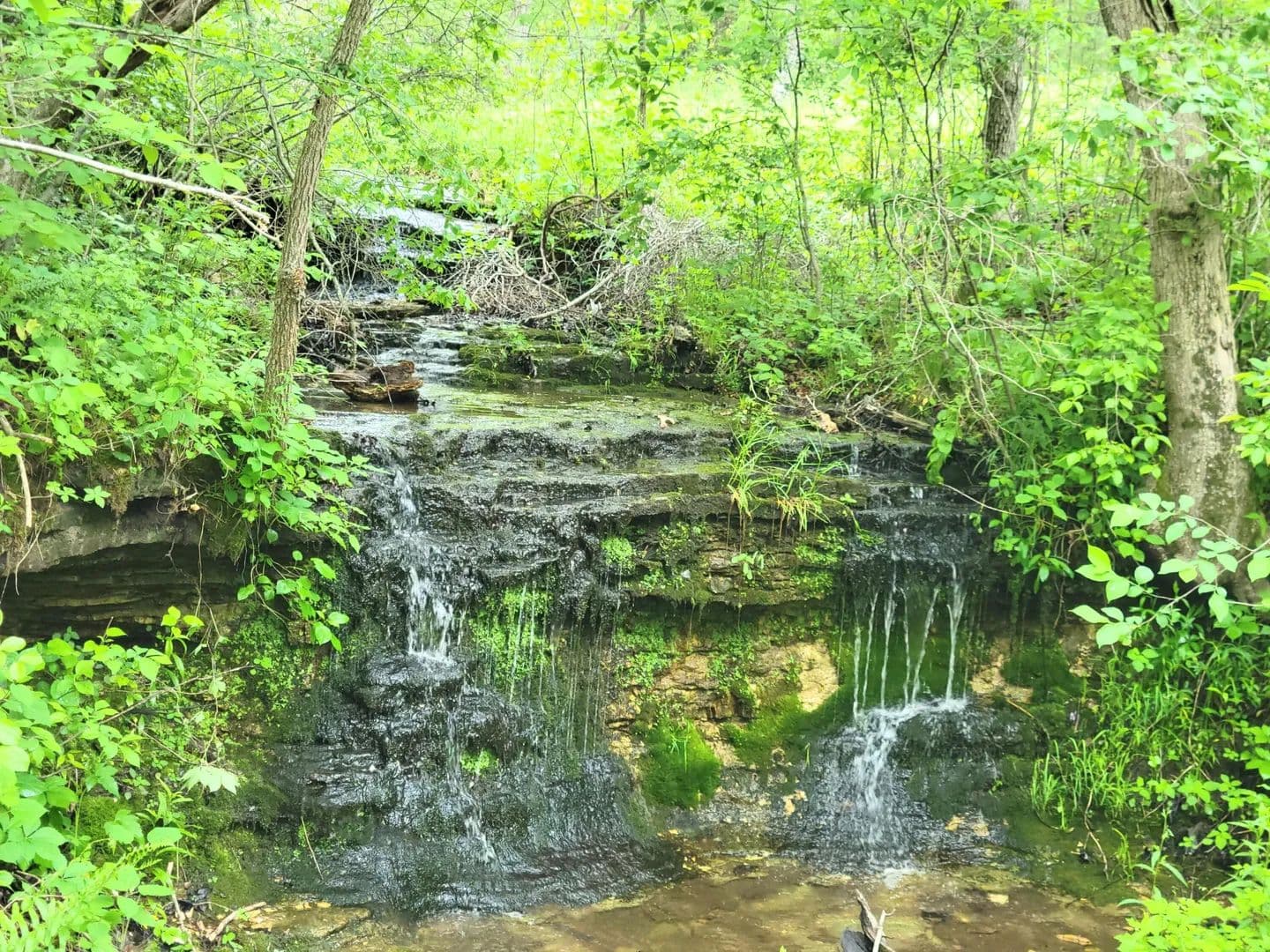 70 Acres of Land for Sale in Norwood, MO - Norwood, Missouri, 65717