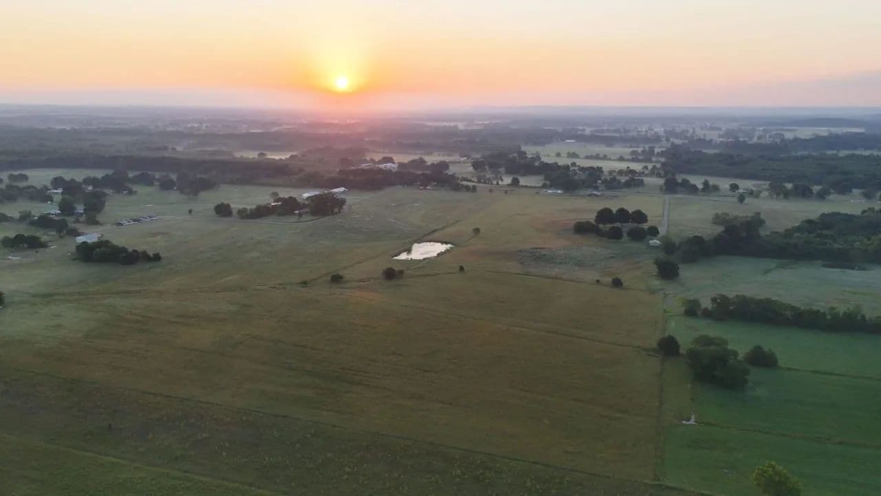 Morgan Co. Alabama 40 +/- acre Homestead - Danville, Alabama, 35619