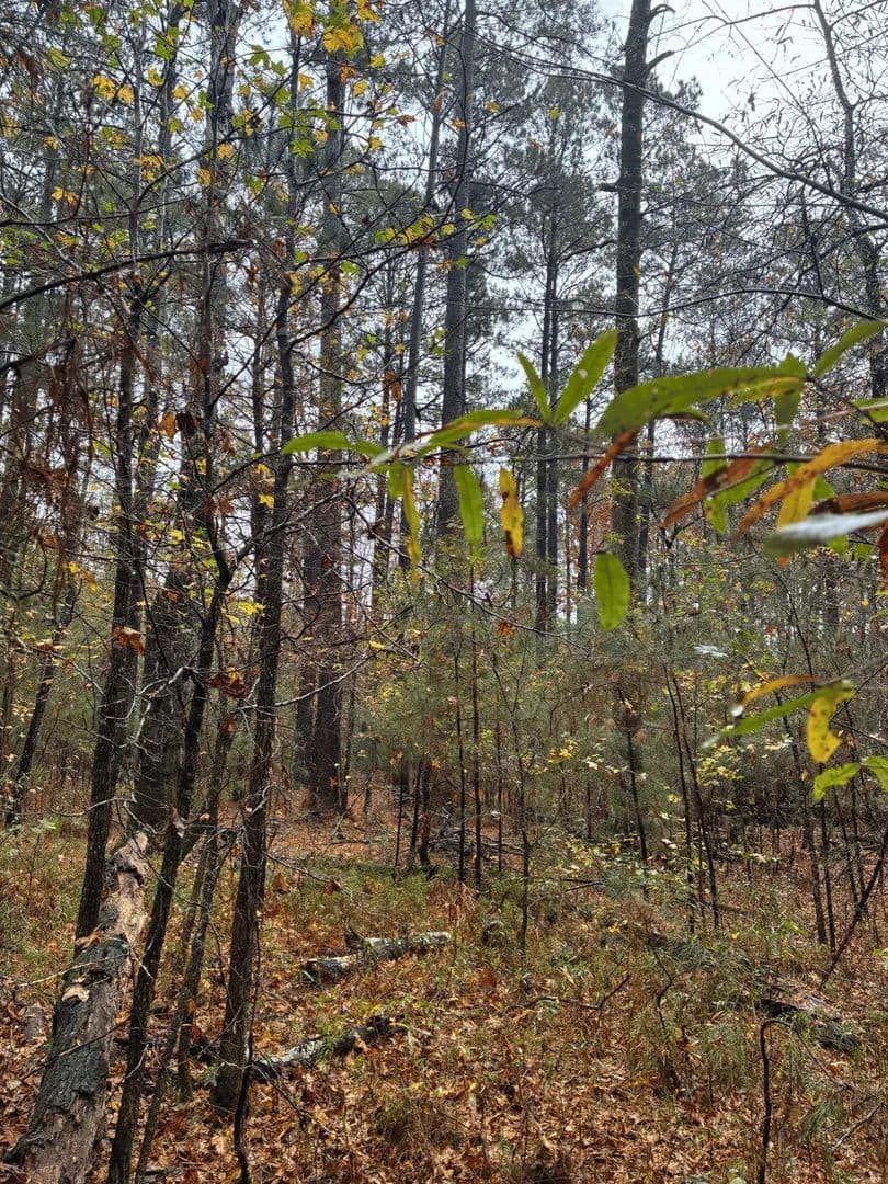 Vacant Land in Camden - Camden, Arkansas, 71701