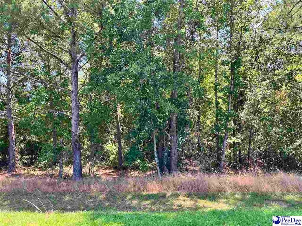 Lots & Land-Other in Chesterfield - Chesterfield, South Carolina, 29709