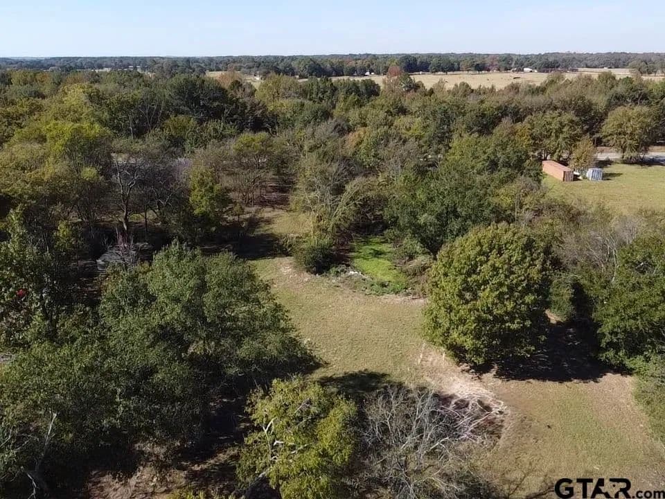 Vacant Land in Alba - Alba, Texas, 75410