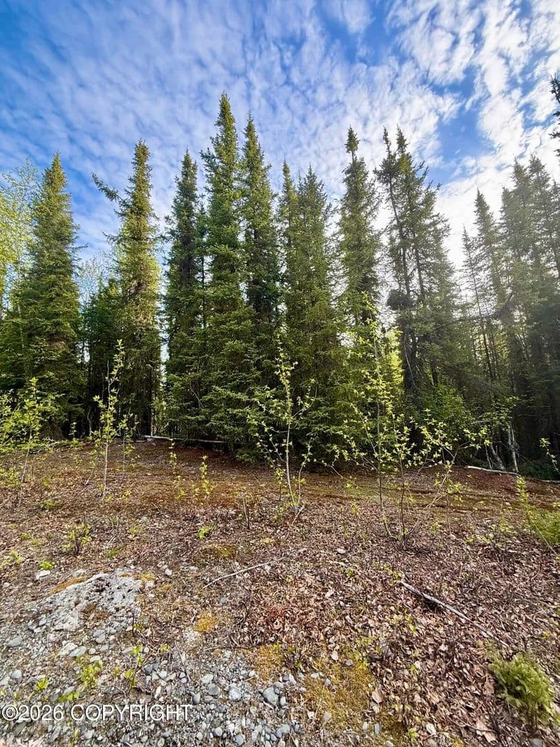 Vacant Land in Soldotna - Soldotna, Alaska, 99669