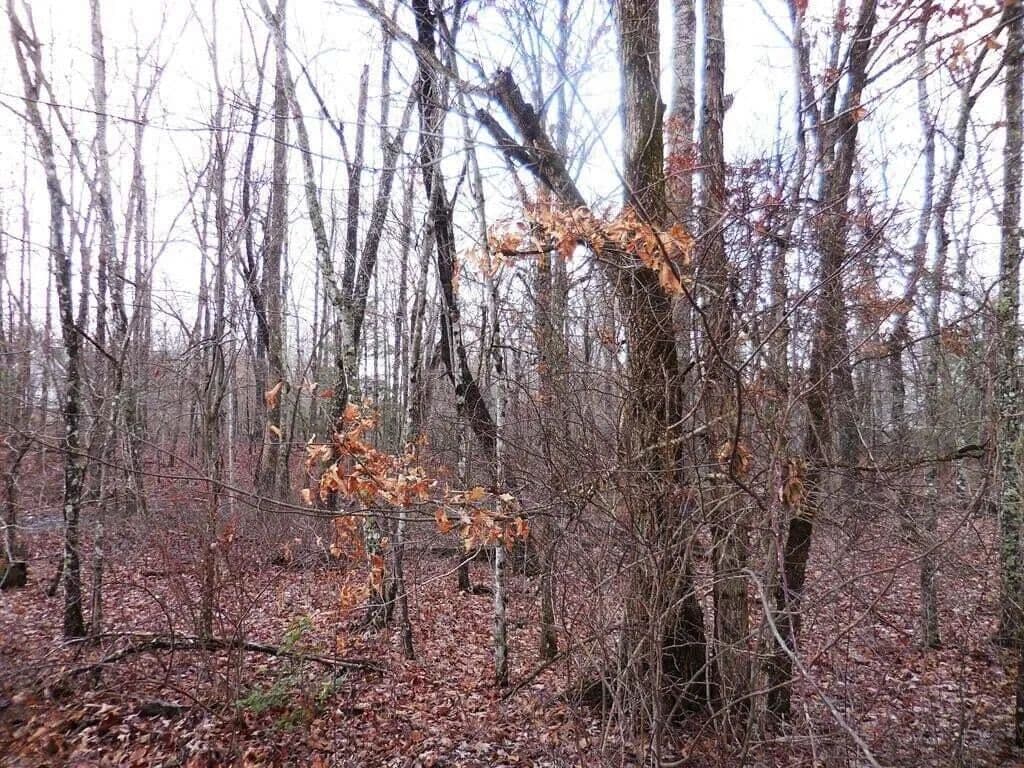 Lots & Land-Other in Crossville - Crossville, Tennessee, 38572