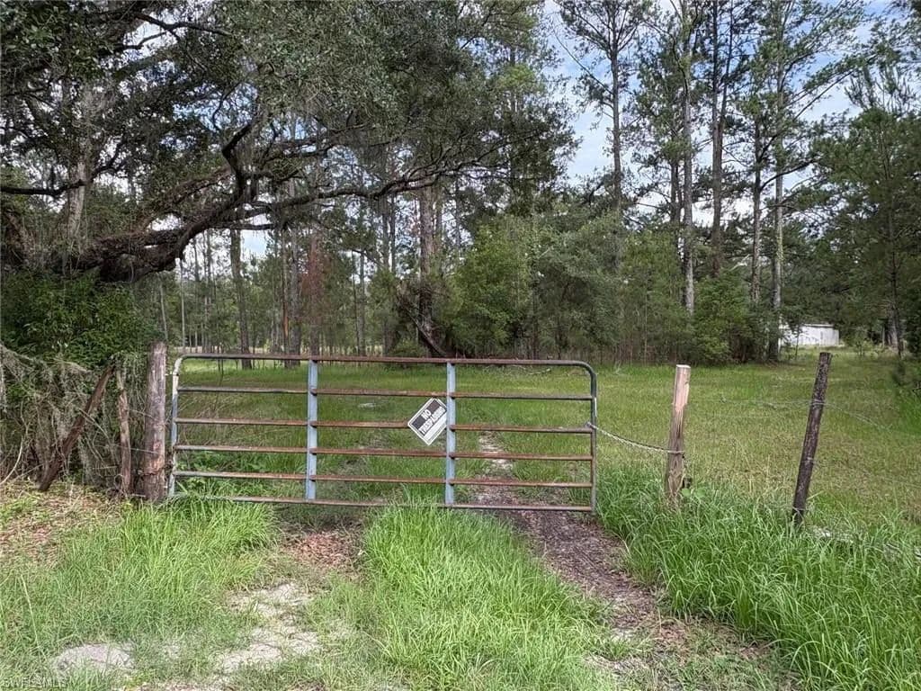 114.2 Acres of Land for Sale in Brooksville, Florida - Brooksville, Florida, 34601