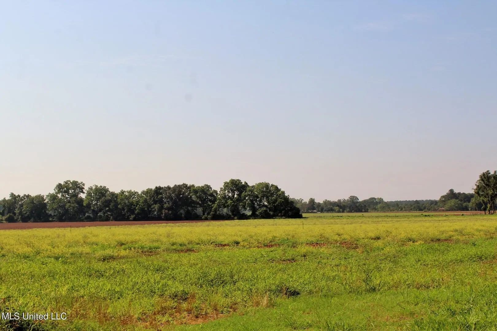 Lots & Land-Other in Lucedale - Lucedale, Mississippi, 39452