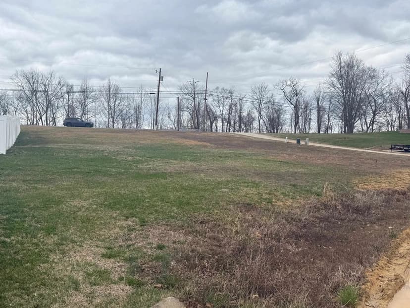 Lots & Land-Other in Ona