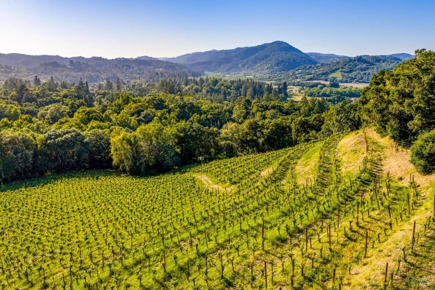 11.93 Acres of Land for Sale in Forestville, CA - Forestville, California, 95436
