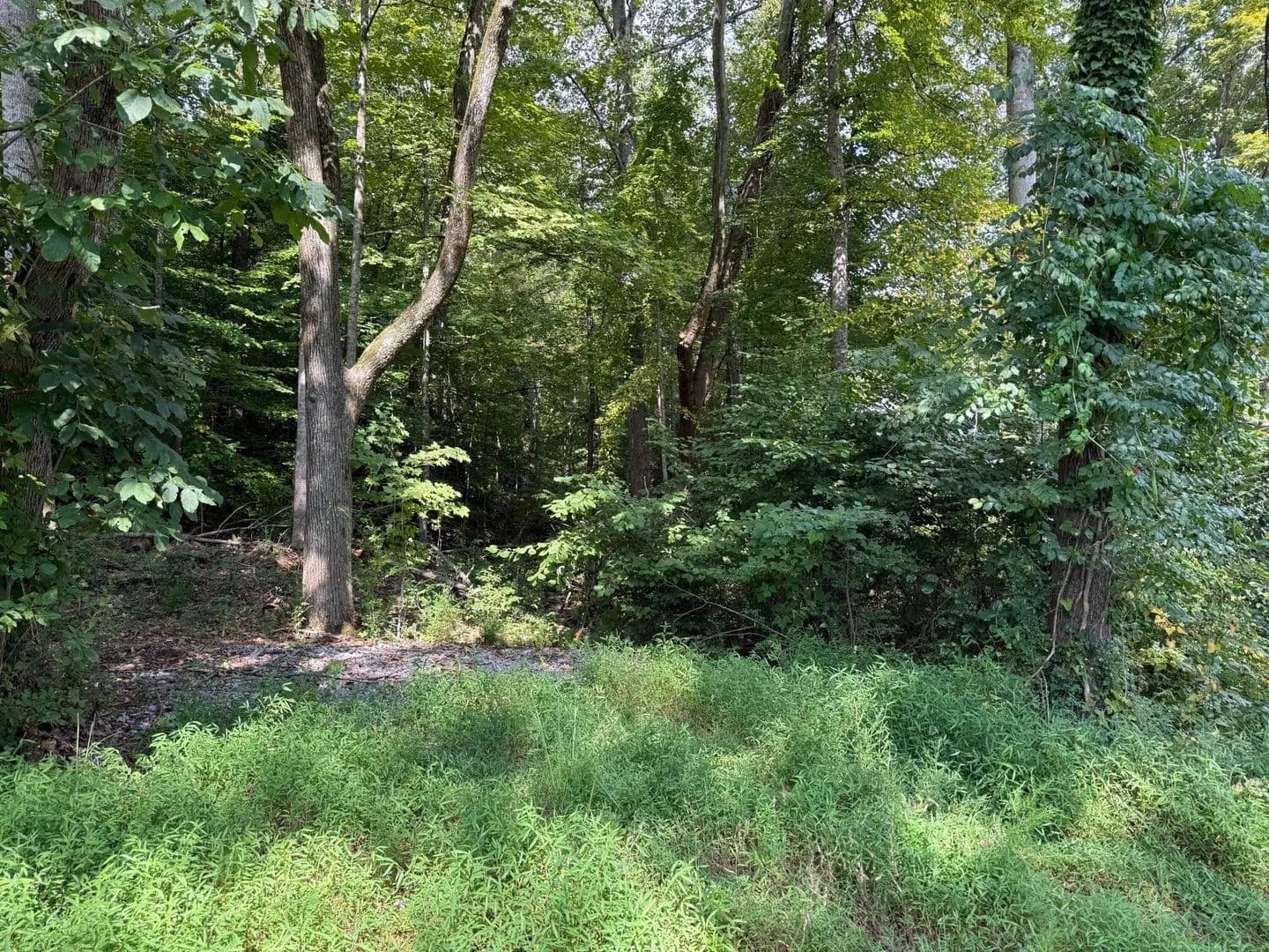Land -Agricultural (Not Zoned) in Dayton - Dayton, Tennessee, 37321