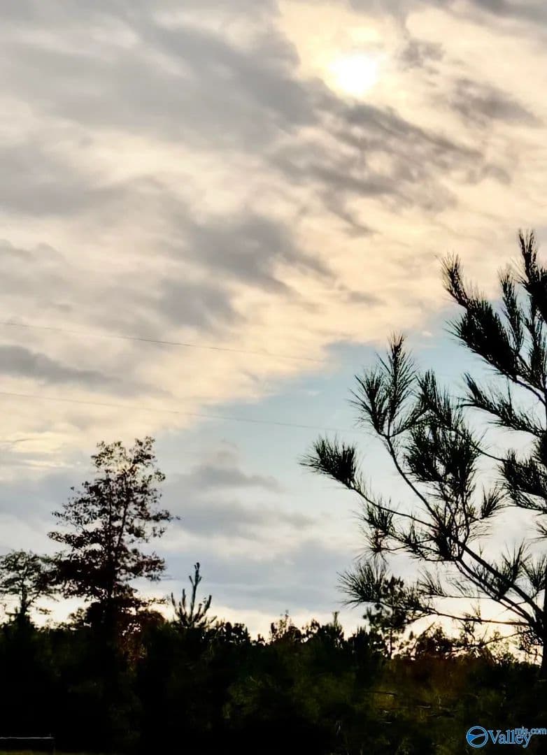 Property from Lot 4 County Road 39 - KW