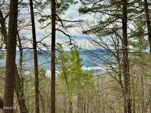 Land -Single Family Acreage in Brant Lake - Brant Lake, New York, 12815