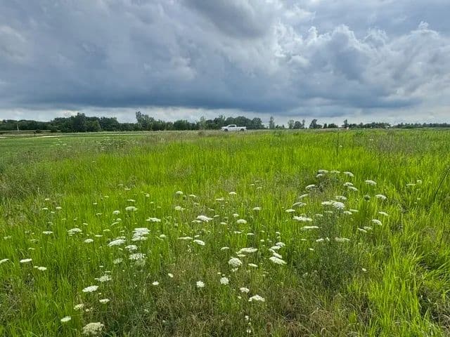 Lots & Land-Other in Marengo - Marengo, Illinois, 60152