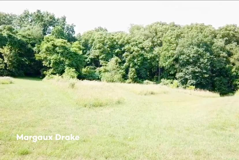 Property from 6950 Barkley Creek Drive NE - KW