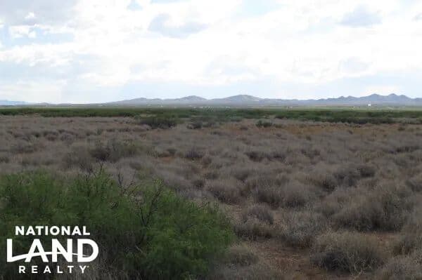 Columbus/Deming NM 140 Acre Ranch and Solar Possibilities - Columbus, New Mexico, 88029