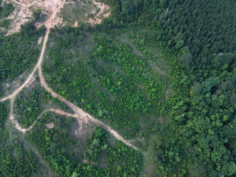 20 Acres in Lincoln County, MS 