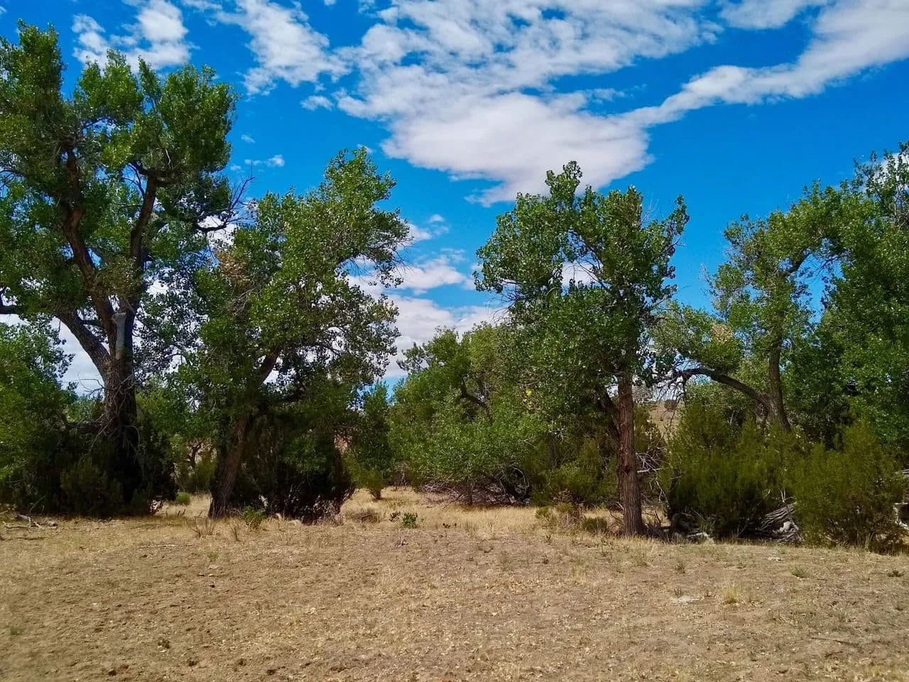 Lonesome Whistle - Rye, Colorado, 81069