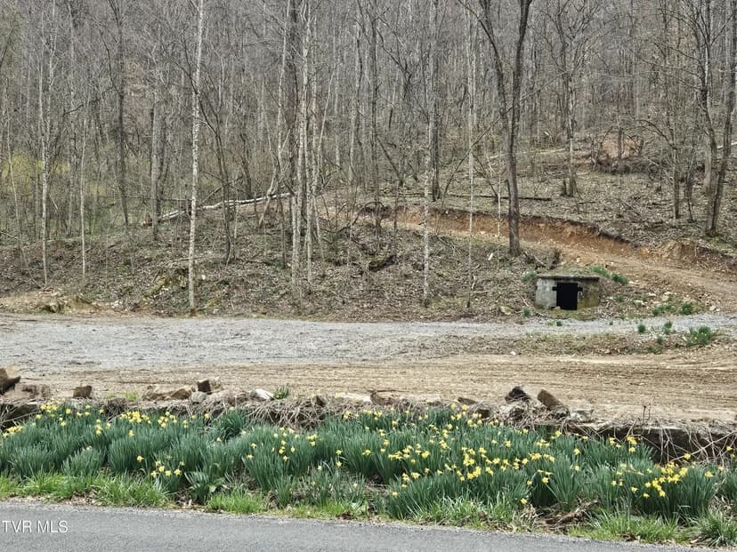 Lots & Land-Other in Dryden