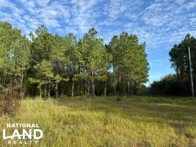 University Blvd Acreage/Investment - Eight Mile, Alabama, 36613