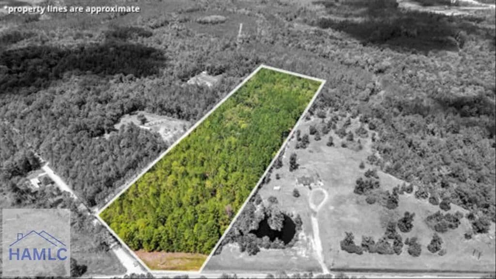 Vacant Land in Ludowici - Ludowici, Georgia, 31316