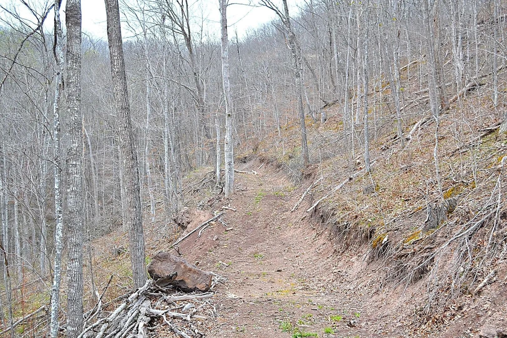 Lots & Land-Other in Dawson - Dawson, West Virginia, 24910