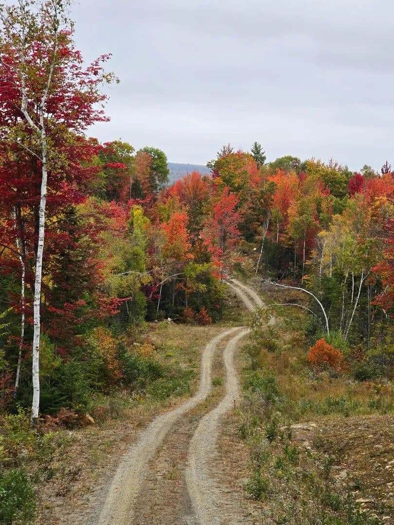 Property from Lot #4 Woods Road - KW