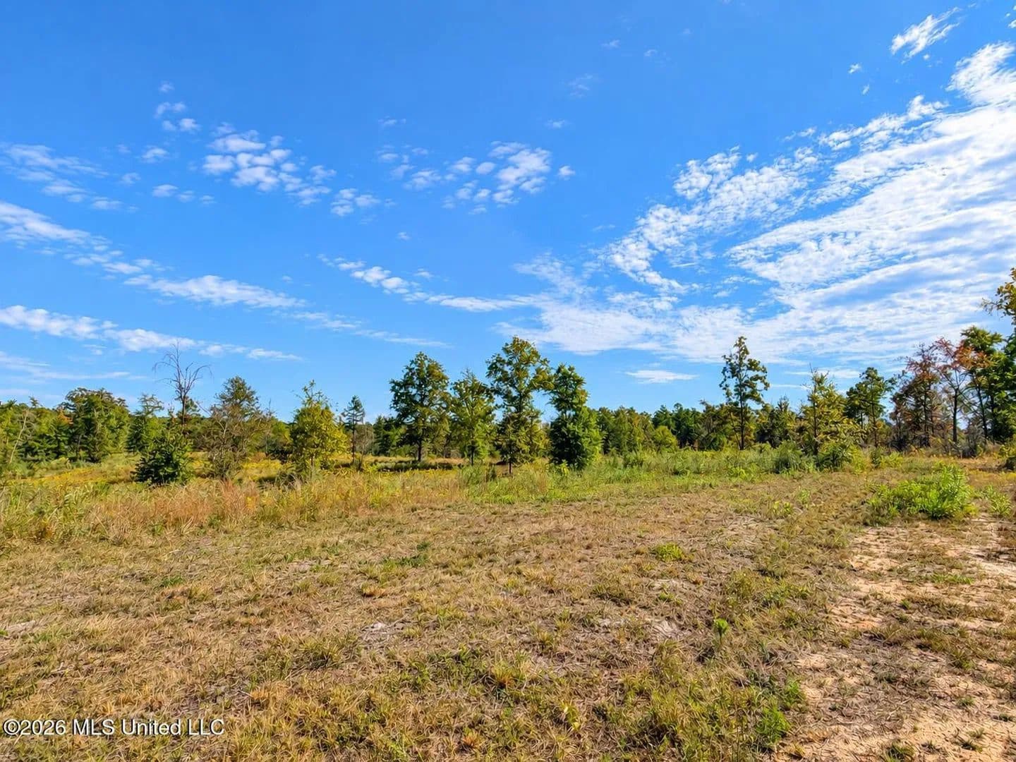 Lots & Land-Other in Leakesville - Leakesville, Mississippi, 39451