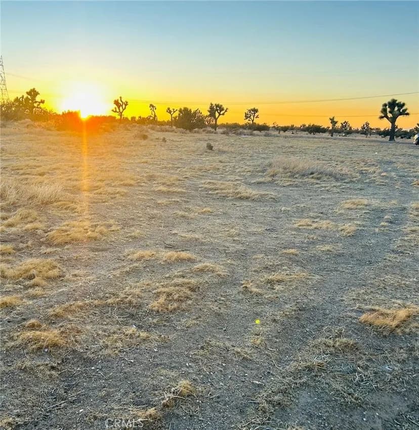 Vacant Land in Joshua Tree