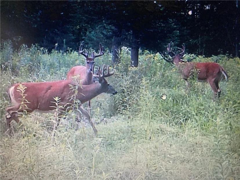 Lots & Land-Other in Ladysmith