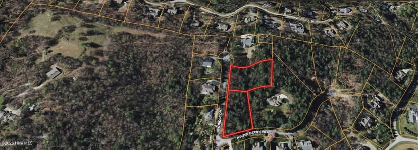 Lots & Land-Other in Hendersonville