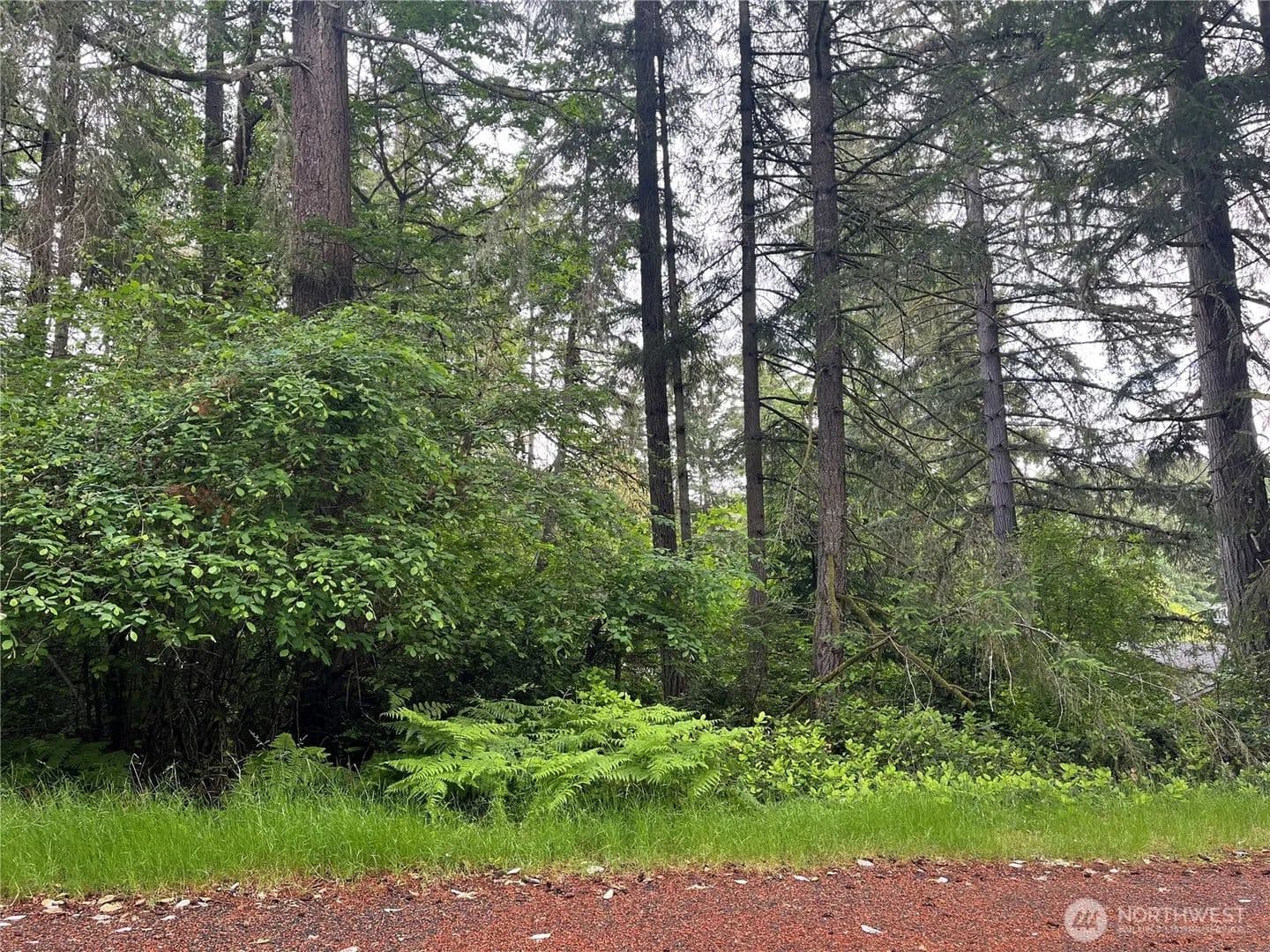 Vacant Land in Anderson Island - Anderson Island, Washington, 98303