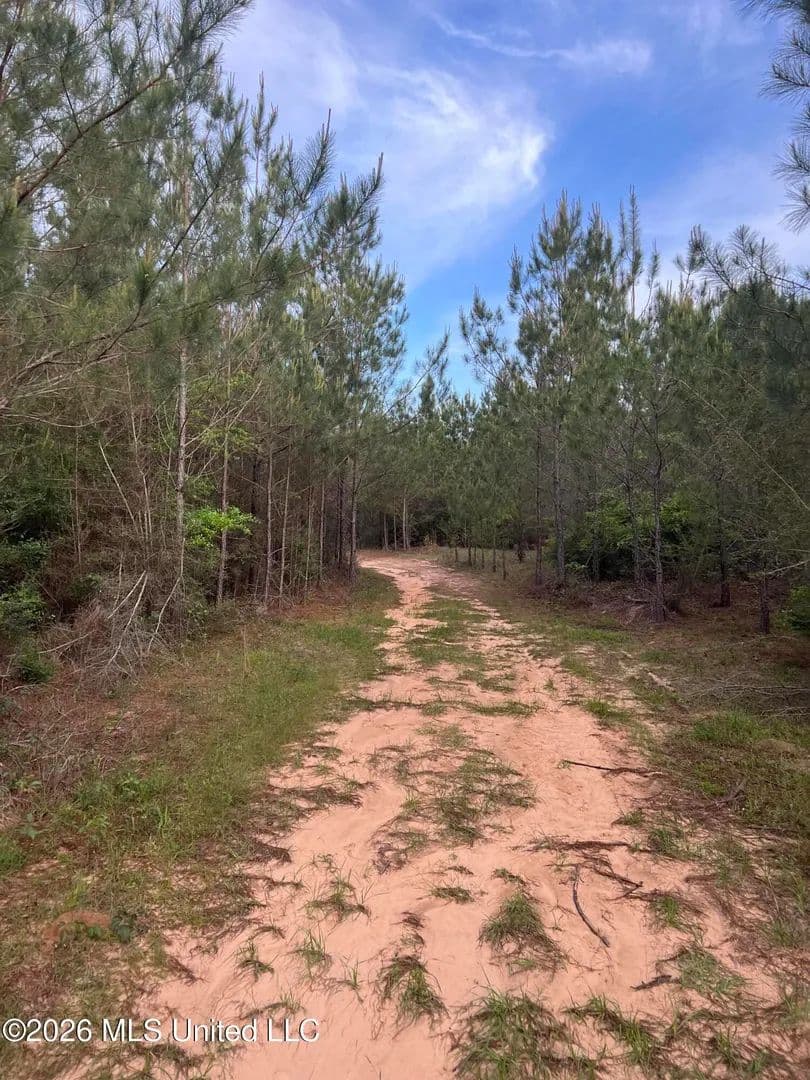Property from County Road 230 - KW - Shubuta, Mississippi, 39360
