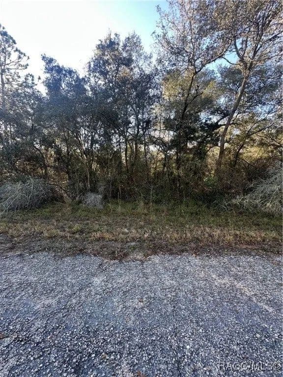 Lots & Land-Other in Dunnellon - Dunnellon, Florida, 34433