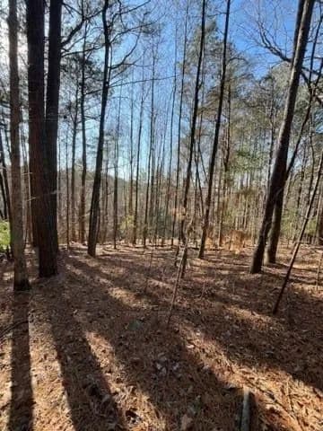 Lots & Land-Other in Ellijay