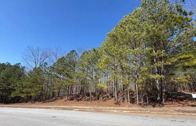 Vacant Land in Douglasville