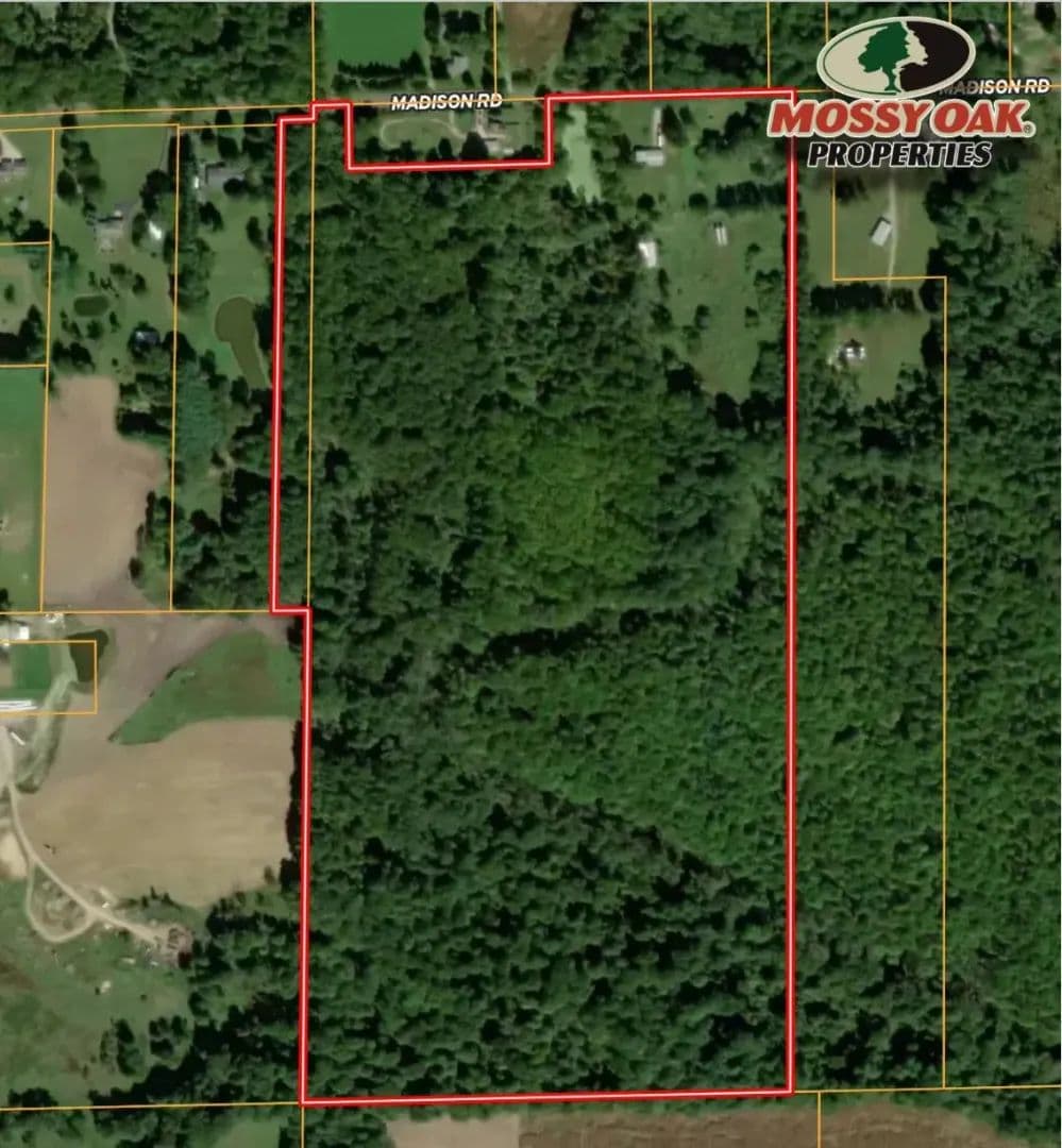 81.17 +/- Acres with 4-Bedroom Home | 22652 Madison Road, South Bend, IN 46614 | Minutes from Potato Creek State Park - land for sale