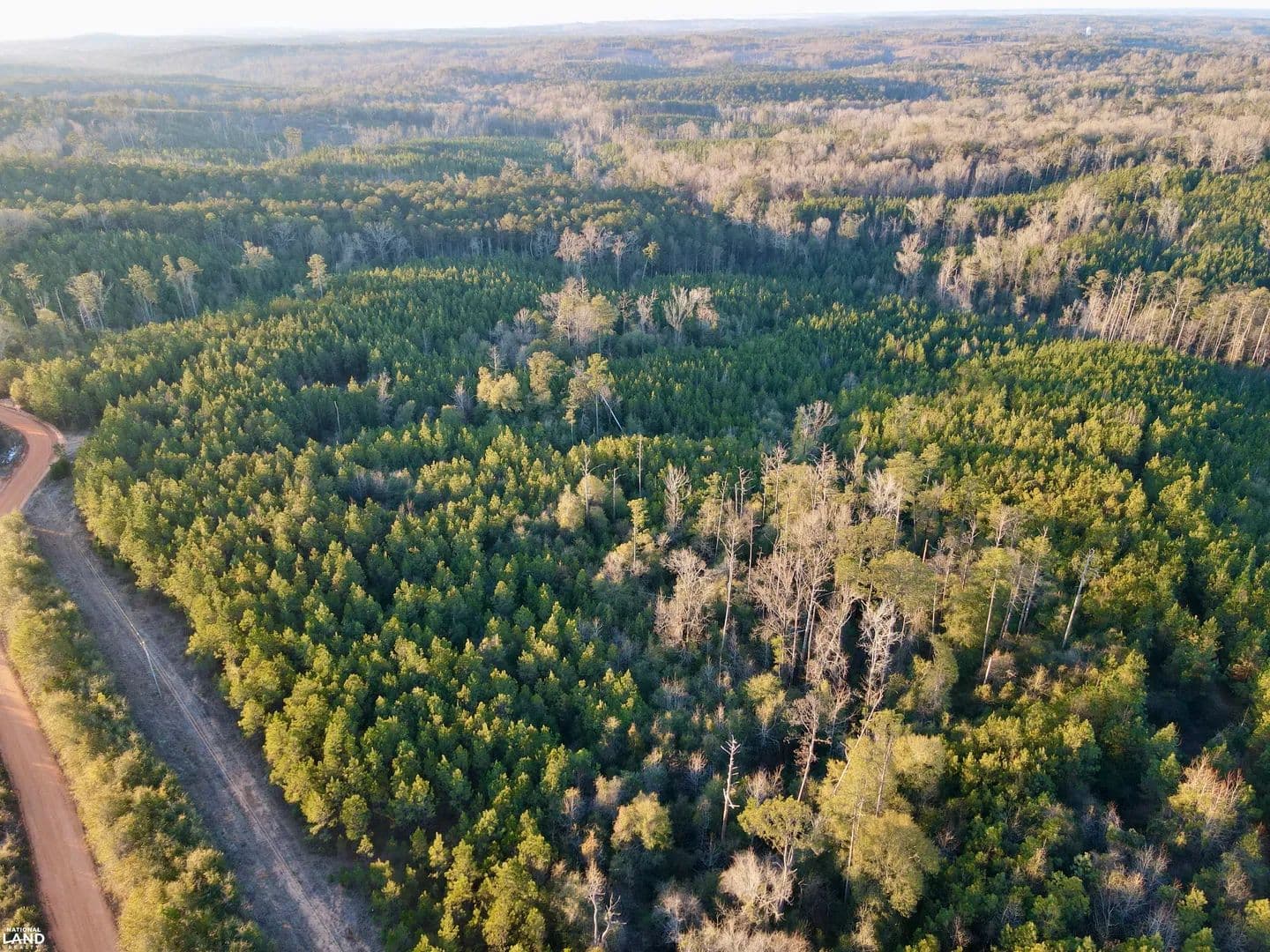 Whatley Homesite & Timber Investment Tract #2 - Whatley, Alabama, 36482