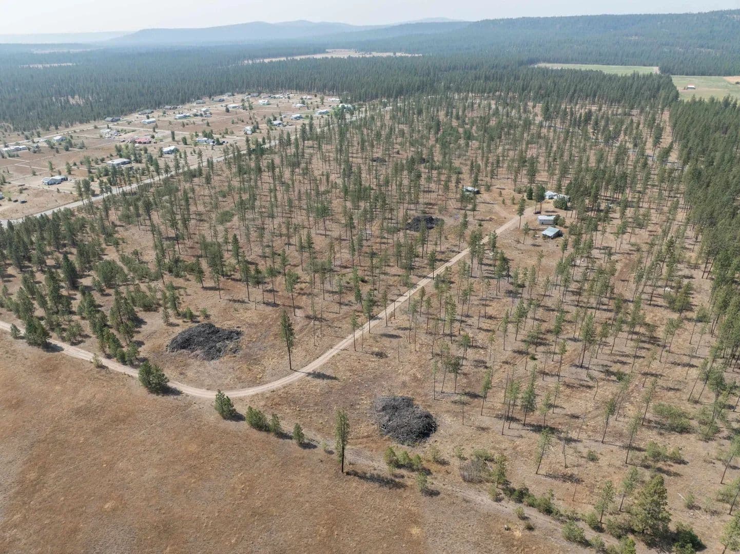 Vacant Land in Ford - Ford, Washington, 99013