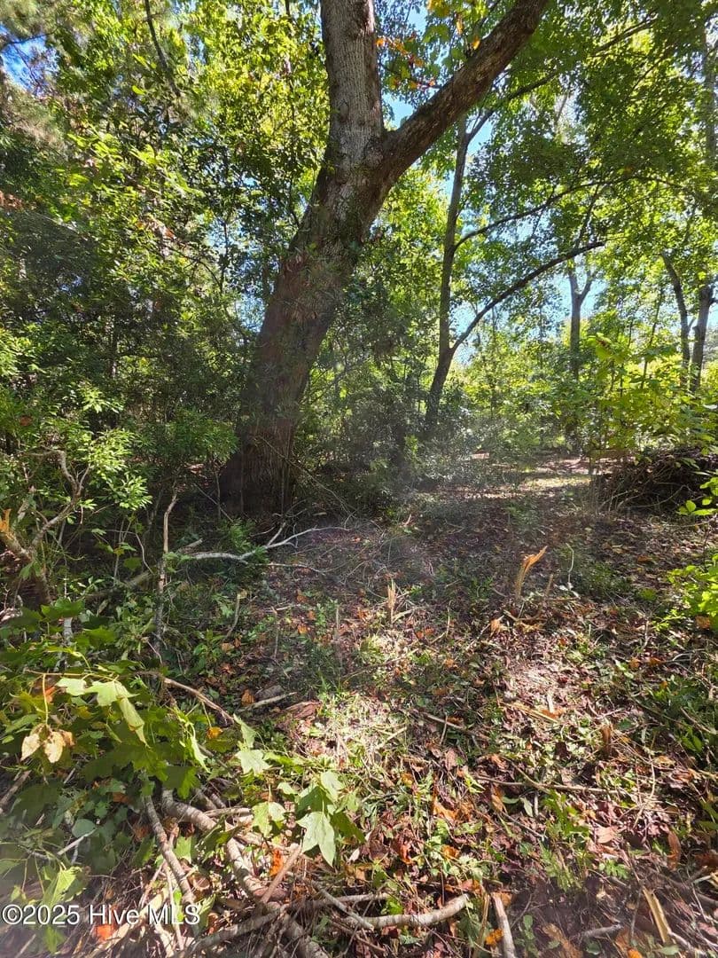 Vacant Land in Hampstead