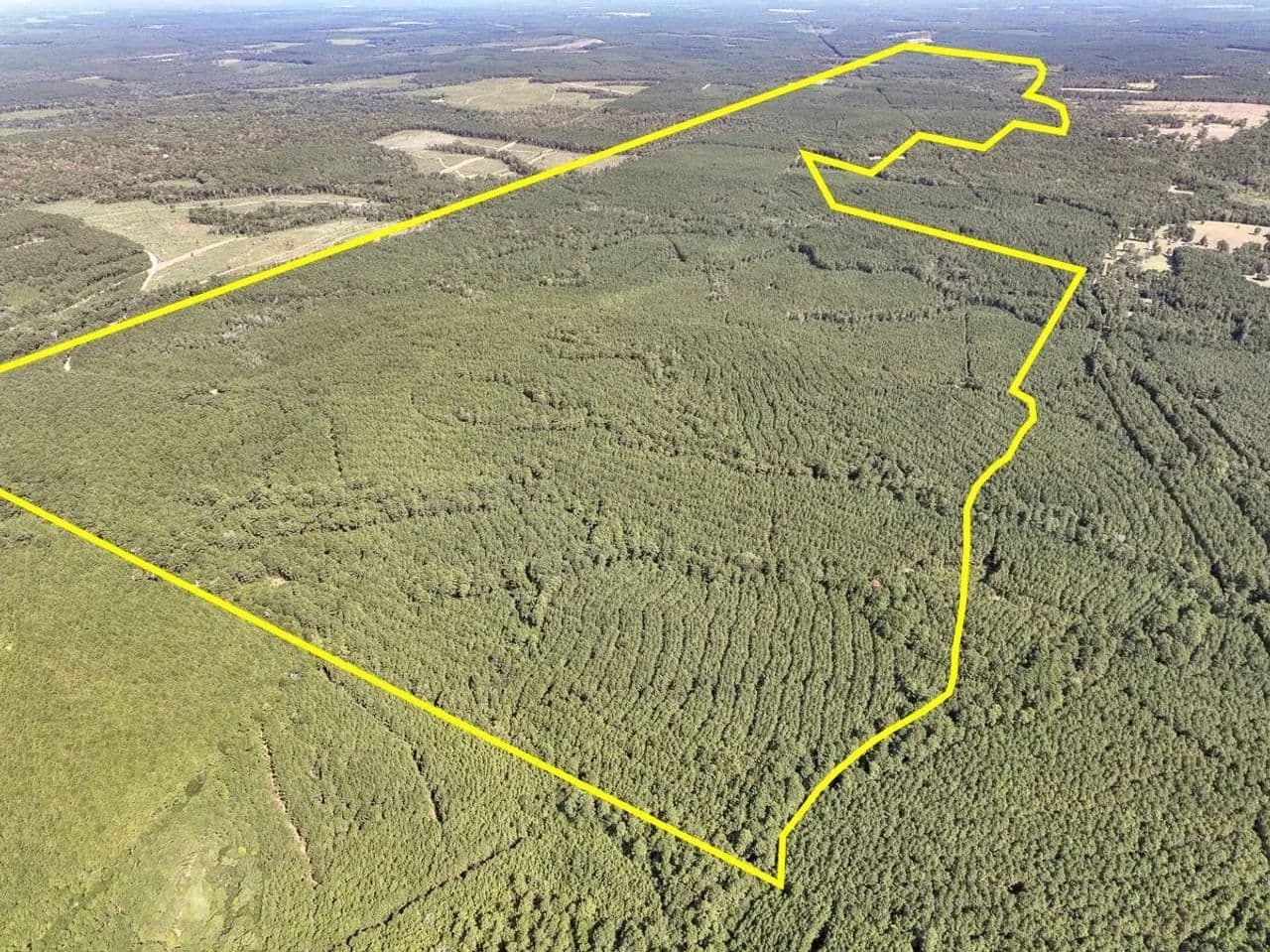 210 Acres | T-2 | County Road 2150 | Tyler County - Woodville, Texas, 75979