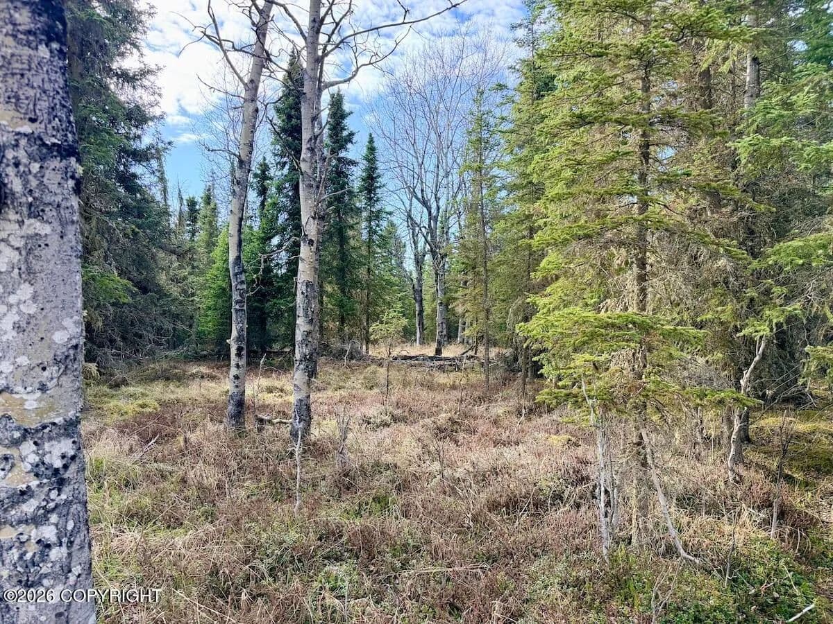 Vacant Land in Kasilof - land for sale