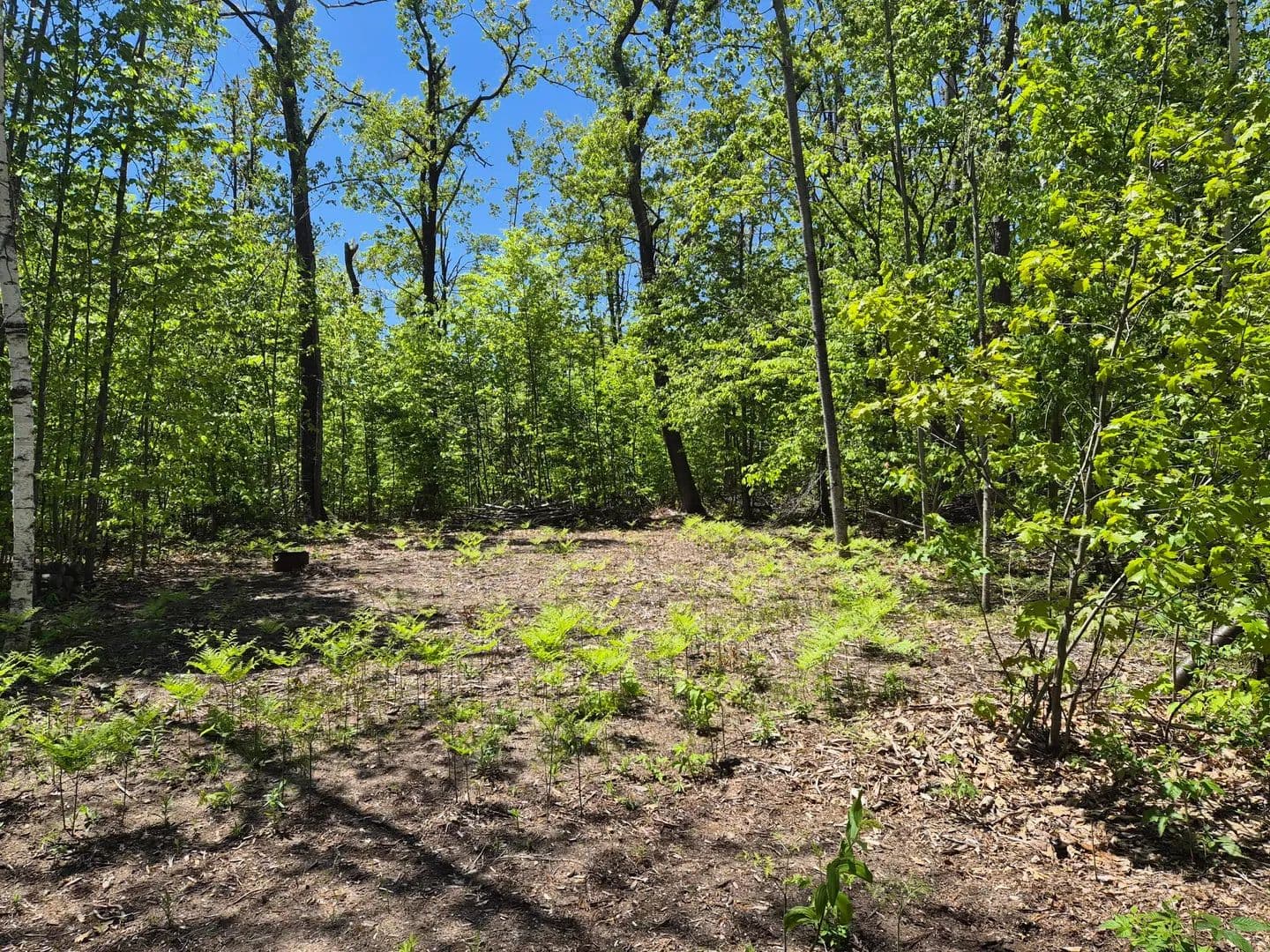 Property from L 187-188 Primrose Trail - KW - Gaylord, Michigan, 49735