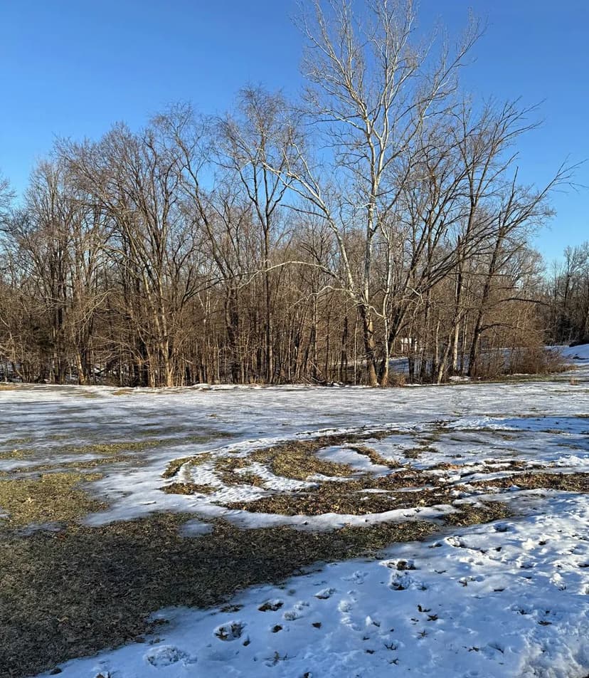 Vacant Land (0-10 Acres) in Washington