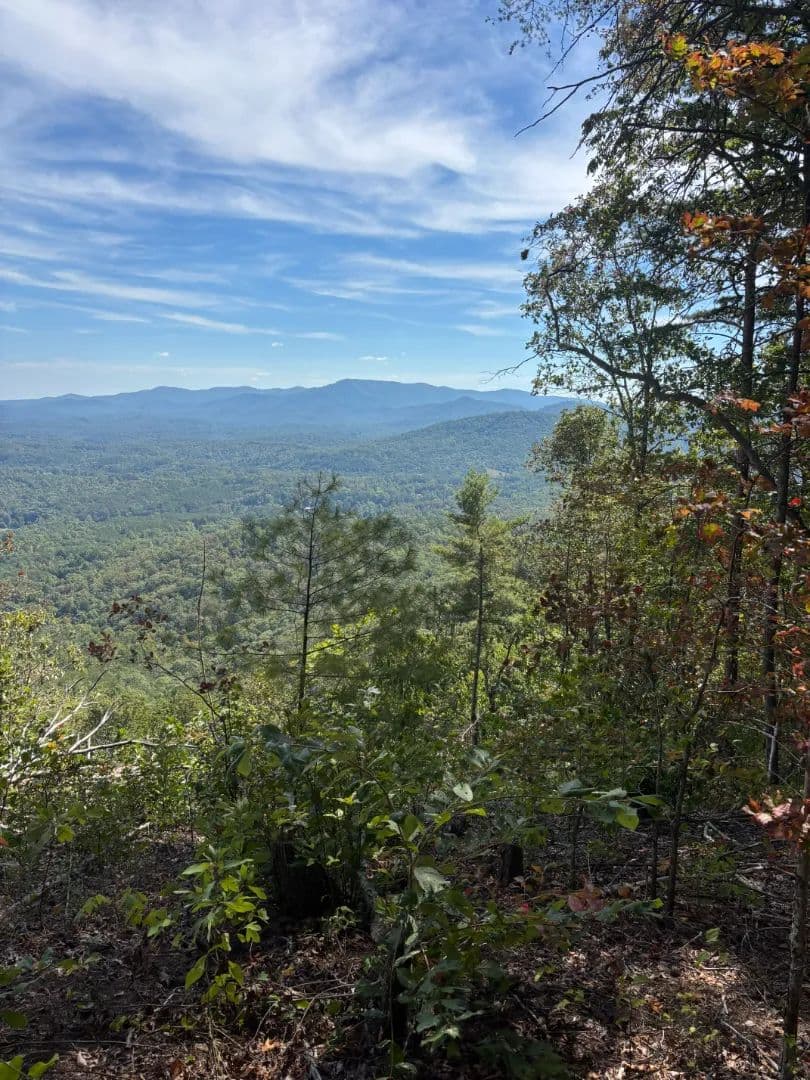 21.7 Acres in Polk County, TN  - Turtletown, Tennessee, 37391